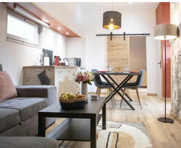 Apartmán La Peniche De Fabrice Avec Jacuzzi Privatif Štrasburk Pokoj fotografie